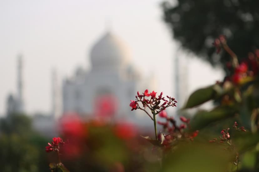 Agra Friday Special Tour – Fort, Baby Taj & Mehtab Bagh Sunset 3