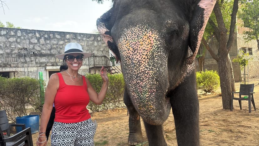 From Delhi: Taj Mahal Sunrise and Elephant Conservation Tour 3