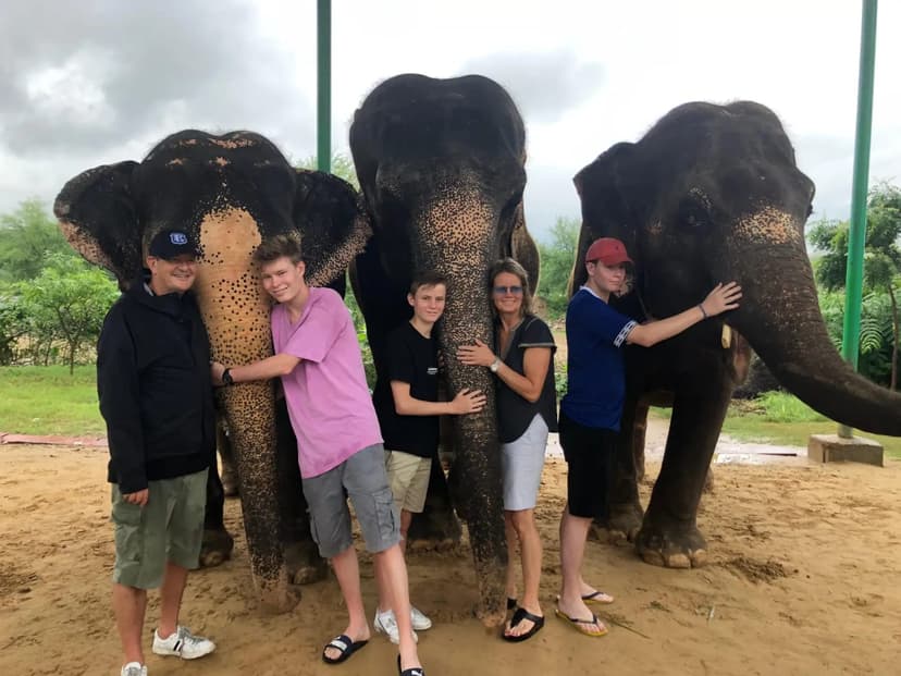 Jaipur Elephant Village Tour: Feed, Walk & Connect with Elephants 3
