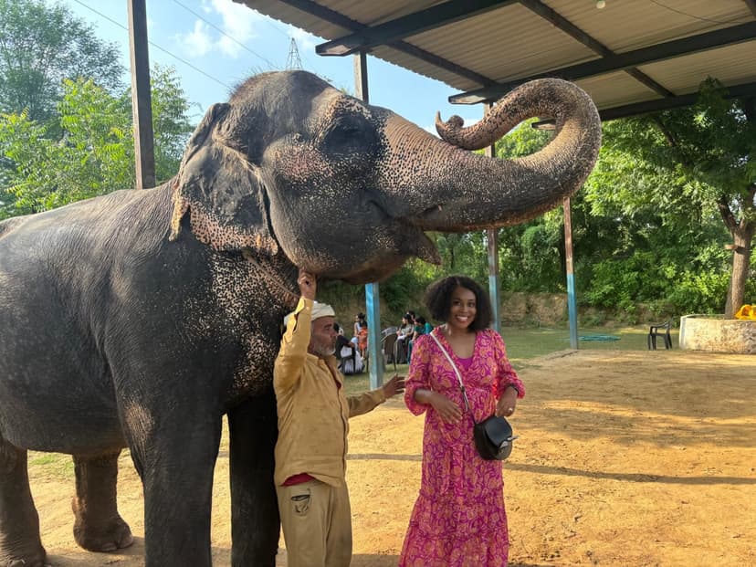 from Jaipur : Same Day Jaipur Tour with Cooking Class 2