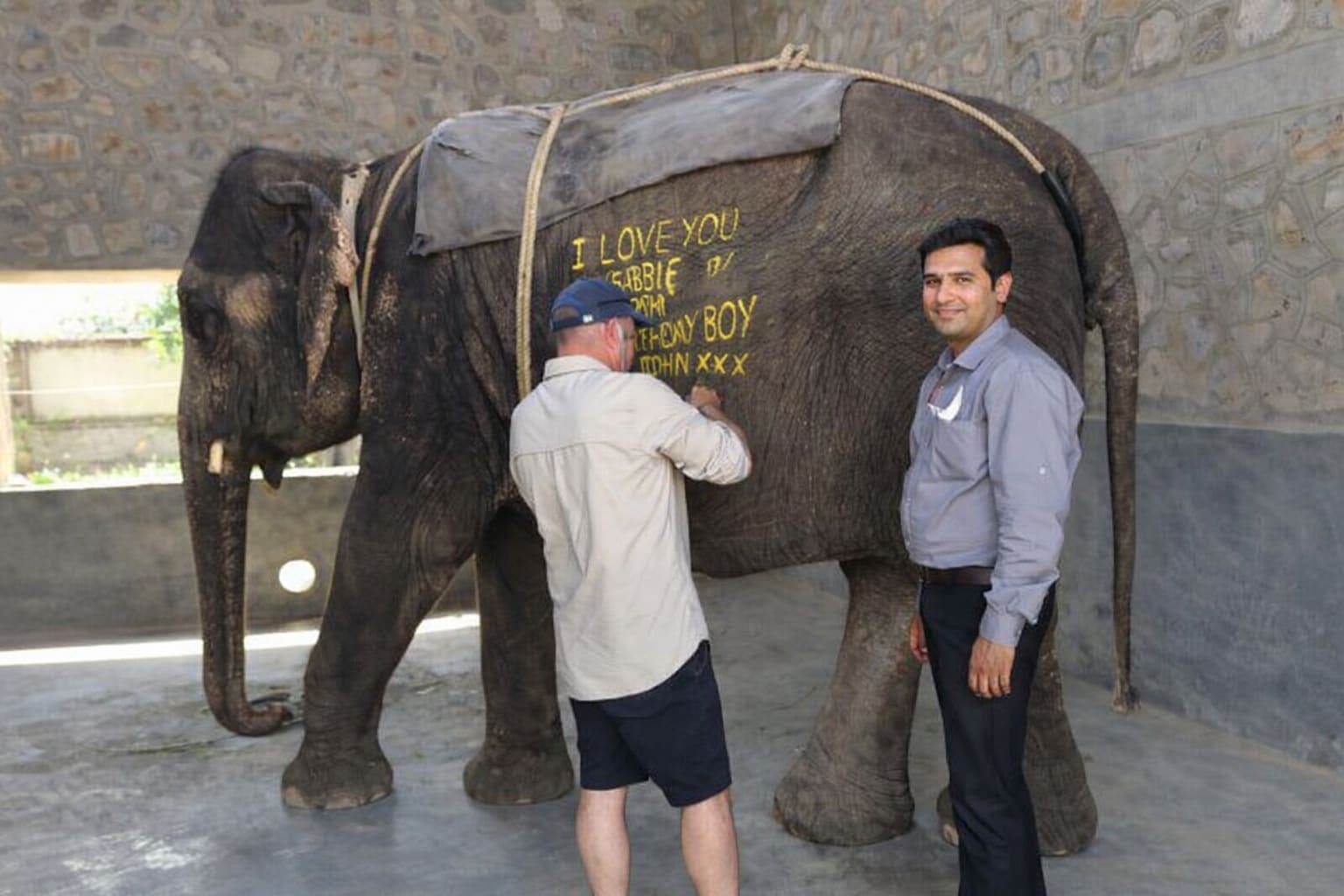 Jaipur Elephant Village Tour: Feed, Walk & Connect with Elephants