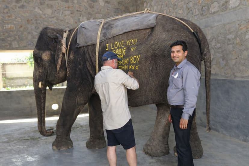 Jaipur Elephant Village Tour: Feed, Walk & Connect with Elephants in Jaipur - Discover the best tours in Jaipur with licensed local guides. City Palace tours, Hawa Mahal visits, heritage walks & authentic Rajasthan experiences.