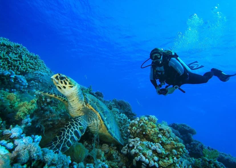 Phuket Scuba Diving for Beginners – Full Day Racha Yai Island Dive Trip in Phuket - Discover the best tours in Phuket with licensed local guides. Phi Phi Islands, Phang Nga Bay cruises, Big Buddha visits & Old Town tours.