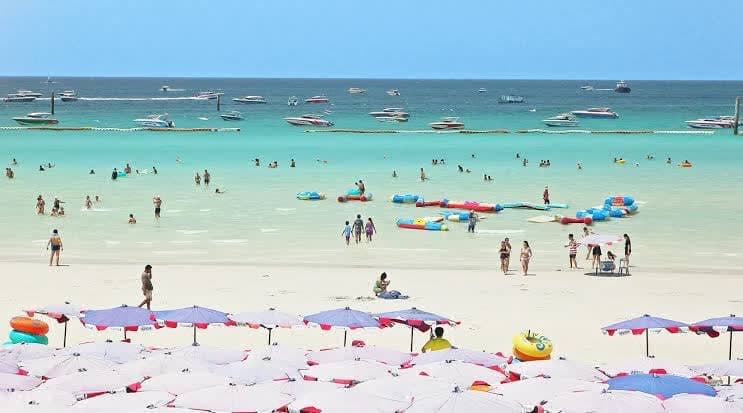 Pattaya coral island tour