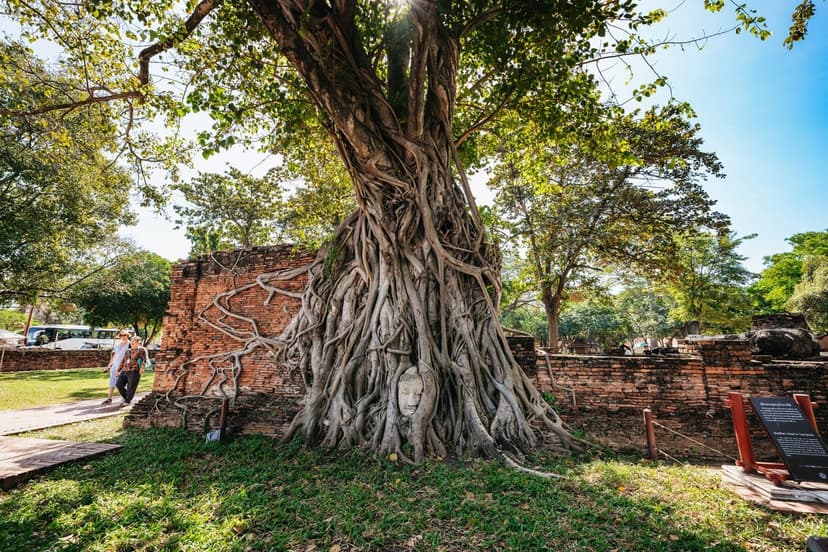 Ayutthaya Ancient Temples Day Trip from Bangkok with Thai Lunch 3