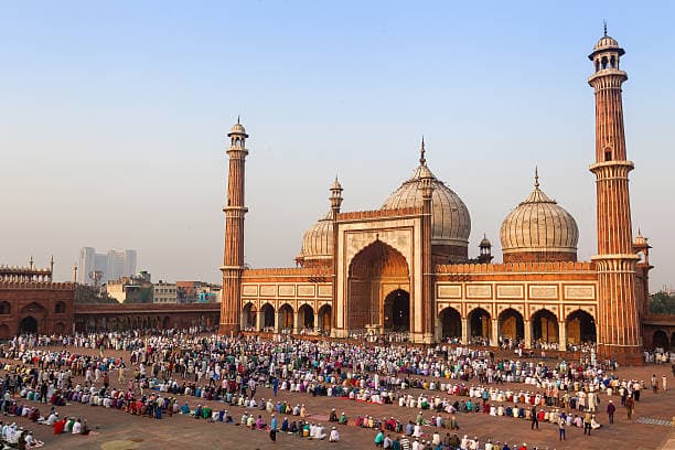 Delhi Full Day Sightseeing (New + Old Delhi) 3