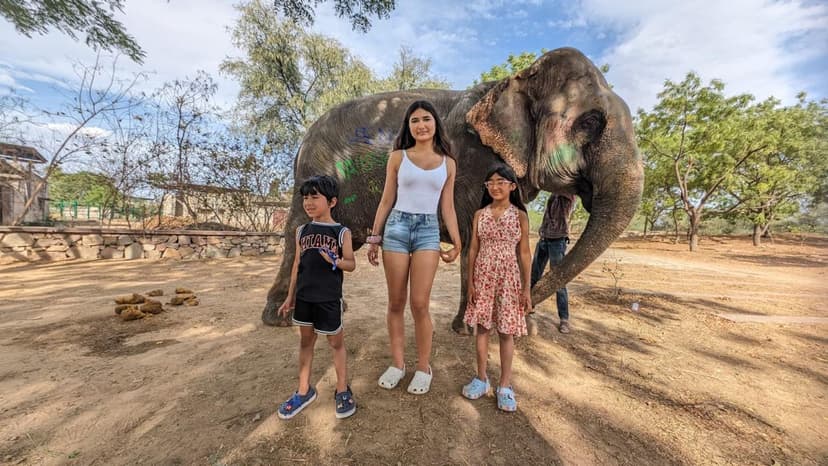 From Agra :- Visit Taj Mahal and Wildlife SoS Conservative and Care Centre 2