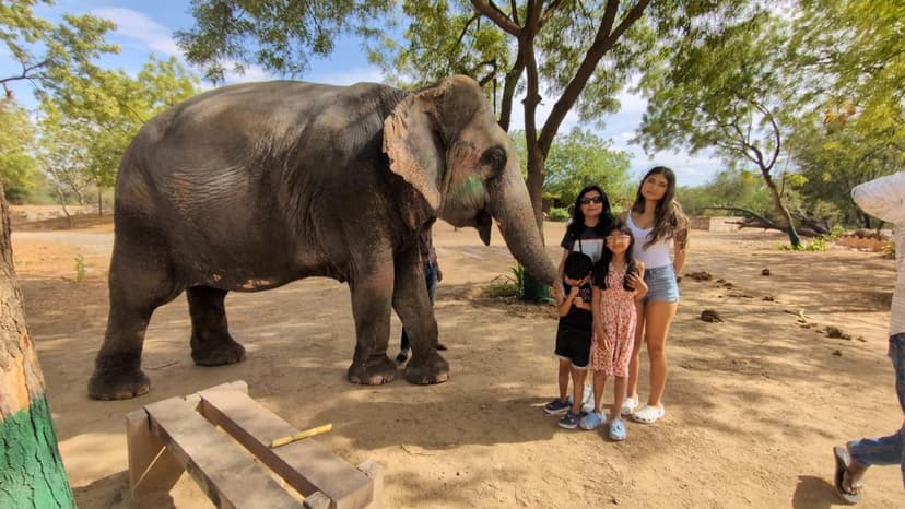 From Agra :- Visit Taj Mahal and Wildlife SoS Conservative and Care Centre 3