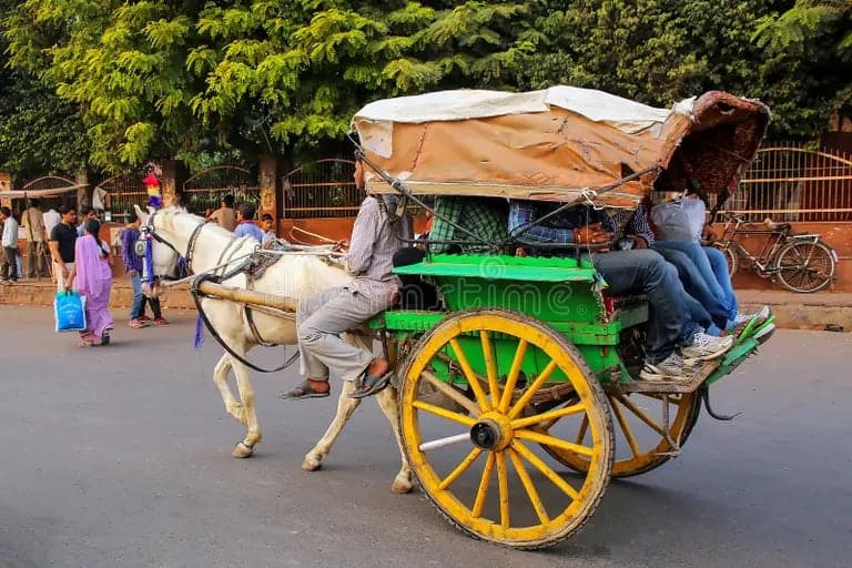 Agra: Street Food Walking Tour, Spice Market with Tuk-Tuk Ride 2