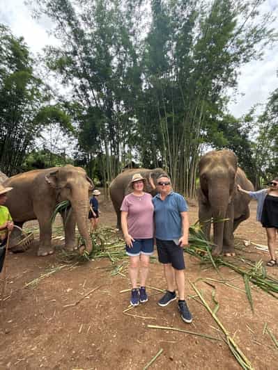 Chiang Mai: Elephant Sanctuary Feeding Program Half-Day Tour 2