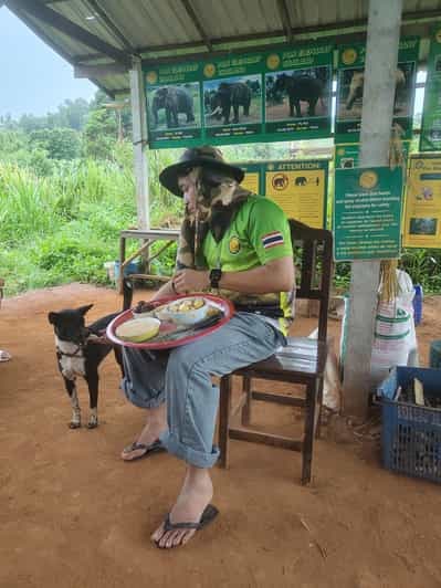 Chiang Mai: Elephant Sanctuary Feeding Program Half-Day Tour 3