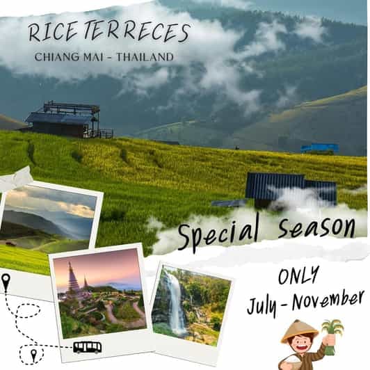 Chiang Mai : Pa Bong Piang Rice Terraces & Doi Inthanon — guided tour in Chiang Mai