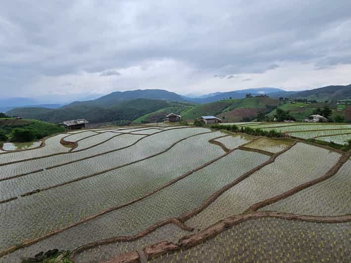 Chiang Mai : Pa Bong Piang Rice Terraces & Doi Inthanon 3