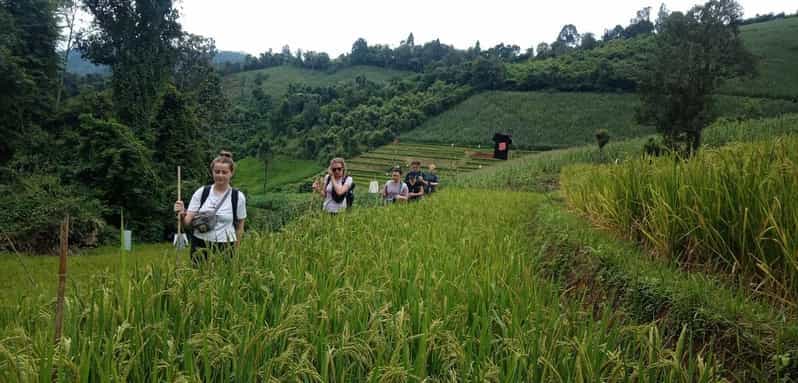 Chiang Mai: 2-Day Jungle Trek with Elephant Farm & Raft Ride 2